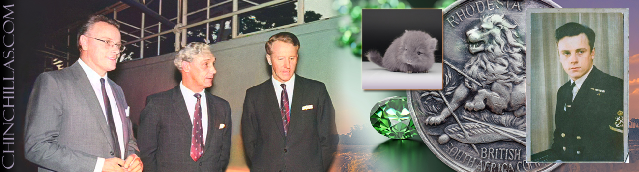 The Finding of Mr. X and the Gillingham Violet Chinchilla